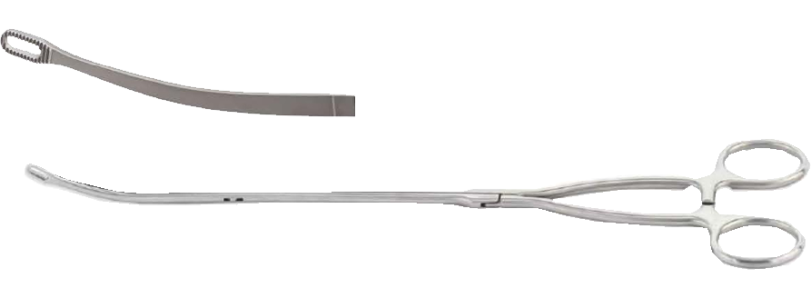 Node Forceps