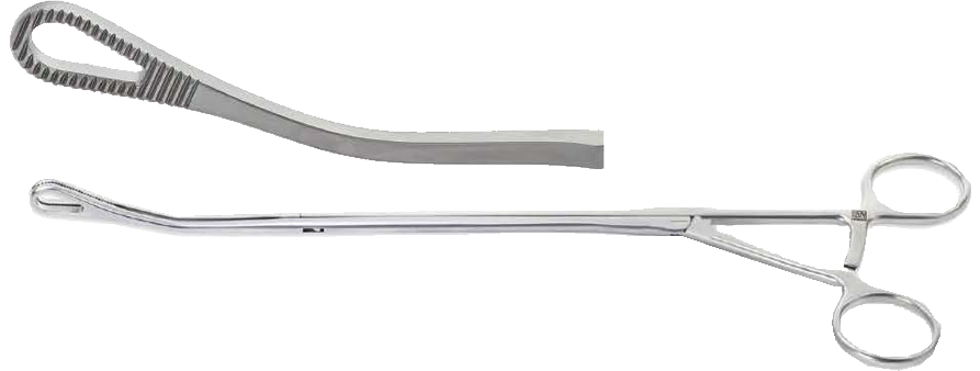 Sponge Forceps